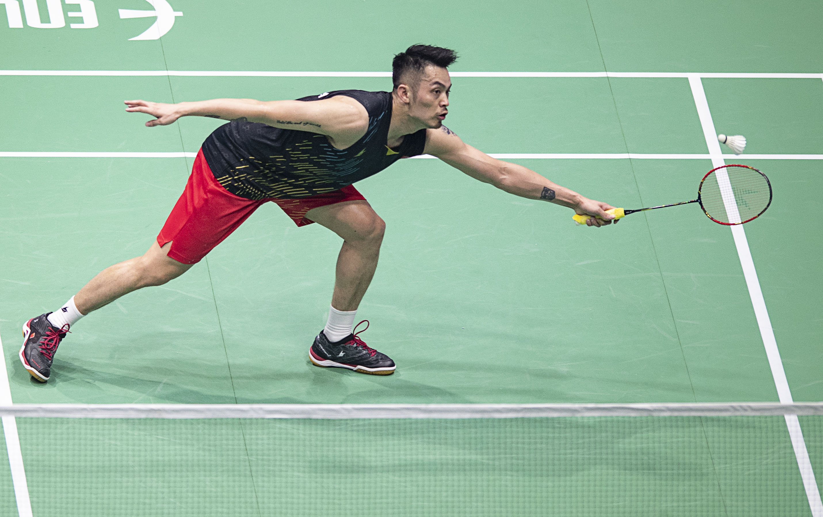 她们也像普 她们也像普